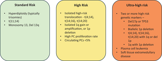 General approach to risk assessment in patients with newly diagnosed symptomatic MM. PC, plasma cell.