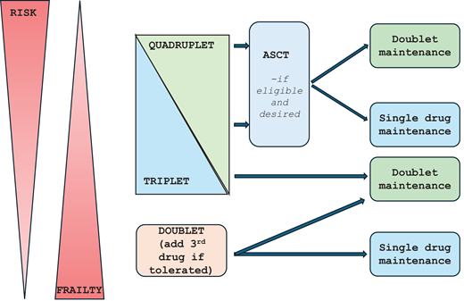 Approach to initial treatment selection in patients with newly diagnosed symptomatic MM accounting for frailty and risk.