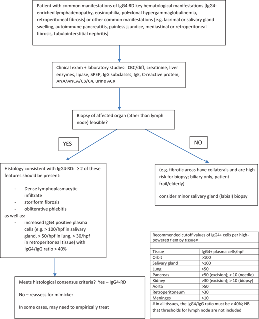 How I diagnose IgG4-RD.