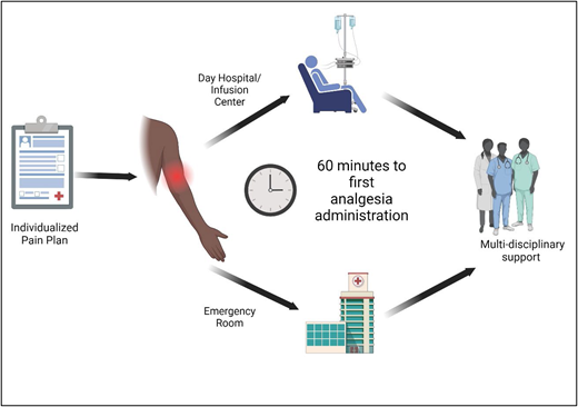 Care delivery for acute pain in SCD. Optimizing care delivery practices influences clinical outcomes in acute SCD pain. Patients should have established individualized pain plans detailing the medications and dosing that have previously provided pain relief. Effective and comprehensive individualized pain plans often require multi-isciplinary collaboration with anesthesia/acute pain teams, psychology and/or psychiatry, pharmacy, physical therapy, integrative health, and child life. In the event of acute SCD pain, rapid analgesia (within 60 minutes of arrival) is critical to providing effective pain relief. The use of an individualized pain plan and day hospital/infusion center may facilitate rapid analgesia and avoid potential delays in EDs. Reassessments and repeated analgesia are recommended every 30 to 60 minutes. Ongoing multidisciplinary support for additional pain management and continuous adjustments to the individualized pain plan are needed.