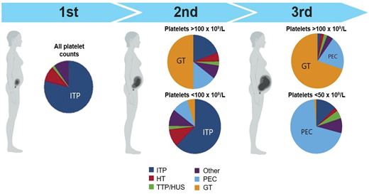 Causes of thrombocytopenia in pregnancy by trimester of presentation and severity. HT, hereditary thrombocytopenia; PEC, preeclampsia; TTP/HUS, thrombotic thrombocytopenic purpura/hemolytic uremic syndrome.