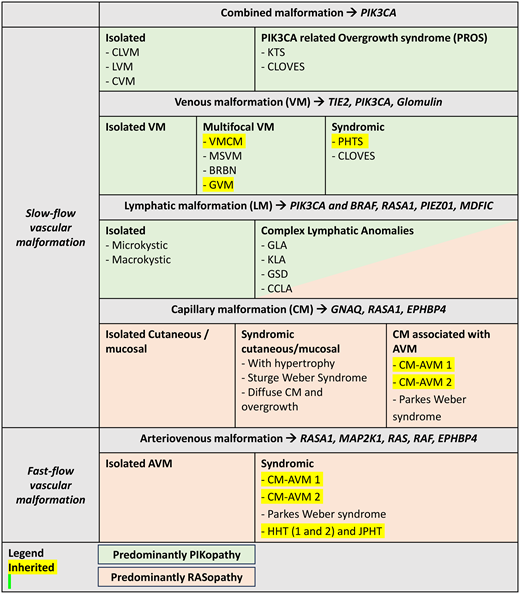 Brief overview of vascular malformation classification. CLOVES, congenital lipomatous overgrowth with vascular anomalies epidermal nevi and scoliosis; CLVM, capillary-lymphatic-venous malformations; CVM, capillary-venous malformation; KTS, Klippel- Trenaunay syndrome; LVM, lymphatic-venous malformations.