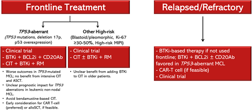 Treatment approach for patients with high-risk MCL. alloSCT, allogeneic stem cell transplant; BCL2i, B-cell lymphoma 2 inhibitor; CD20Ab, CD20 monoclonal antibody.