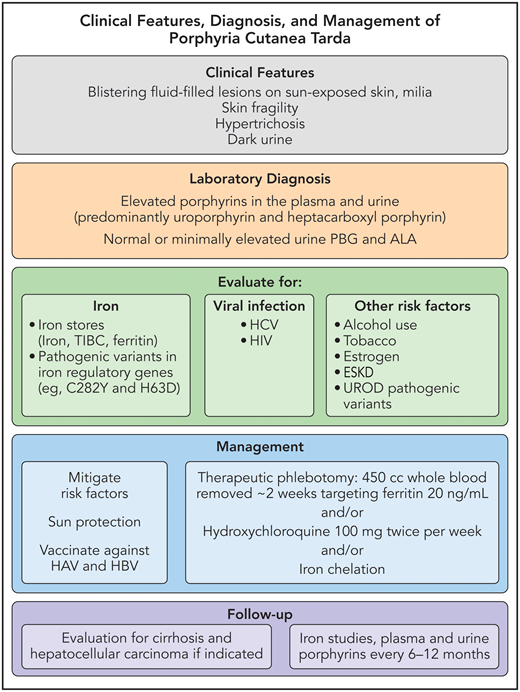 Our approach to the diagnosis and management of PCT. HAV, hepatitis A virus; HBV, hepatitis B virus; PBG, porphobilinogen deaminase; TIBC, total iron-binding capacity. Professional illustration by Patrick Lane, ScEYEnce Studios.