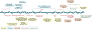 Timeline of adoptive T-cell therapy with engineered T cells. This figure represents a timeline of some of the key milestones in adoptive T-cell therapy with engineered cells for cancer treatment. ADA SCID, adenosine deaminase severe combined immunodeficiency; allo-HSCT, allogeneic hematopoietic stem cell transplantation; CAR, chimeric antigen receptors; CMV, cytomegalovirus; DLI, donor lymphocyte infusion; EBV, Epstein-Barr virus; LV, lentiviral vector; mHAg, minor histocompatibility antigens; RV, retroviral vector; TCR, T-cell receptor; TIL, tumor-infiltrating lymphocyte; ZFN, zinc finger nuclease.
