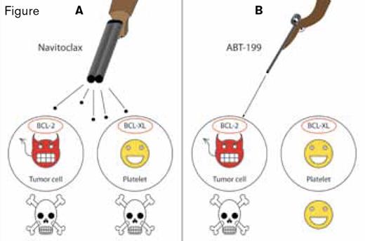 ABT-199 Selectively Kills BCL-2-Dependent Tumor Cells While Sparing Platelets. A) Navitoclax (ABT-263) binds to both BCL-2 and BCL-XL. Platelets are dependent on the anti-apoptotic activity of BCL-XL for survival. Consequently, thrombocytopenia is a dose-limiting adverse effect of treatment with navitoclax. B) ABT-199 is specific for BCL-2 and induces selective death of BCL-2-dependent tumor cells while sparing platelets.Reprinted from Cancer Cell, 23, Davids MS and Letai A, Taking Dead Aim at BCL-2, page 140, 2013, with permission from Elsevier. Figure created by Richard Oakley.