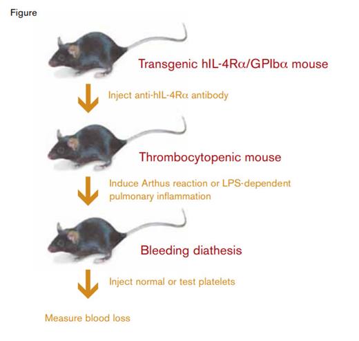 Murine Model System to Evaluate Platelet-Dependent Protection Against Inflammatory Hemorrhage.