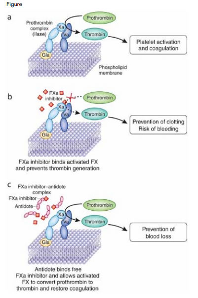 . / Used with permission from Nature Medicine (Nature Publishing Group).