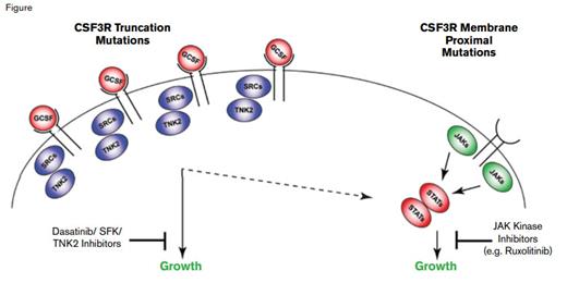 . / Figure courtesy of Dr. Jeffrey Tyner; used with permission from the New England Journal of Medicine.