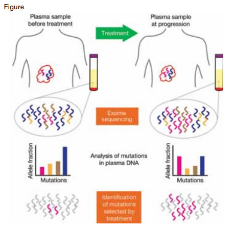 Study Design for Identification of Treatment-Associated Mutations From Exome Sequencing of Serial Plasma Samples. Plasma was collected before and at multiple time points during and after treatment of cancer patients. Mutations were identified across the plasma samples and increases in relative abundance were noted. Cataloguing of similar data across large cohorts could identify genes or pathways with recurrent mutations that arise under the selective pressure of specific treatments.