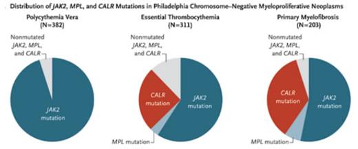 Distribution of JAK2, MPL, and CALR Mutations in Philadelphia Chromosome-Negative Myeloproliferative Neoplasms. From New England Journal of Medicine, Klampfl et al. 369, 2382 and 2383. Copyright © 2013 Massachusetts Medical Society. Reprinted with permission from Massachusetts Medical Society.