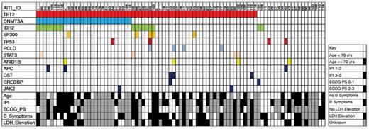 Distribution of Mutations in 85 Cases of AITL. Common mutations and demographic and clinical factors across the cohort are shown. Each column represents a single patient. IPI = International Prognostic Index; ECOG PS = European Cooperative Oncology Group Performance Status.From Odejide O, Weigert O, Lane AA, et al. A targeted mutational landscape of angioimmunoblastic T cell lymphoma. Blood. 2014;123:1293-1296.