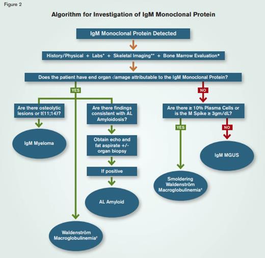 Algorithm for Investigation of IgM Monoclonal Protein.* Laboratory studies include CBC, serum calcium, creatinine, β-2-microglobulin, LDH, liver enzymes, serum protein electrophoresis with immunofixation, serum free light chain assay, quantitative immunoglobulins, 24-hour urine testing for protein, and urine electrophoresis.** Skeletal survey is the preferred first-line imaging choice.◆ Marrow evaluation includes immunohistochemical studies, flow cytometry, conventional cytogenetics, and myeloma FISH.✝ Confirm by MYD88 sequence analysis.
