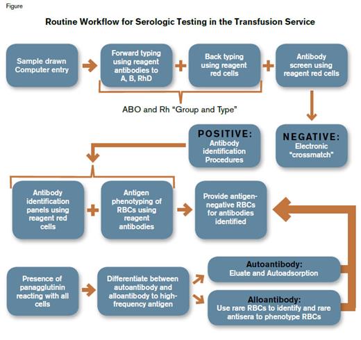 Routine Workflow for Serologic Testing in the Transfusion Service. Once the patient’s red blood cells (RBCs) are phenotyped for ABO and RhD antigens, providing appropriate ABO- and RhD-matched RBCs for transfusion is straightforward if no alloantibodies or autoantibodies are detected. However, if the patient’s serum or plasma reacts with reagent RBCs, the specificity of each antibody present must be identified. The patient’s own RBCs are phenotyped to confirm the validity of antibody identification. In the presence of autoantibody or an antibody that reacts with a very high frequency antigen, the process of antibody identification and phenotyping of the patient’s RBCs becomes technically difficult, often requires the availability of rare reagent cells and sera, and is highly time-consuming.