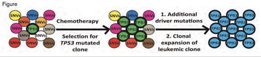 Development of t-AML Due to Clonal Expansion of the TP53-Mutated Clone. Chemotherapy imposes selection for the TP53 mutated clone leading to a higher representation (middle panel). Additional driver mutations lead to expansion of leukemic clones (right panel). SNVs=single nucleotide variants.Reprinted by permission from Macmillan Publishers Ltd: Nature. 2014 Dec 8. doi: 10.1038/nature13968, copyright 2014.