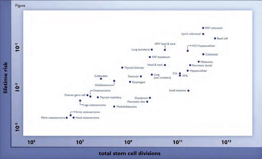 Stochastic (Replicative) Factors Versus Environmental and Inherited Factors: R-tumor Versus D-tumor Classification. The adjusted ERS (aERS) is indicated next to the name of each cancer type. R-tumors (green) have negative aERS and appear to be mainly due to stochastic effects associated with DNA replication of the tissues’ stem cells, whereas D-tumors (blue) have positive aERS. Importantly, although the aERS was calculated without any knowledge of the influence of environmental or inherited factors, tumors with high aERS proved to be precisely those known to be associated with these factors. From Tomasetti C, Vogelstein B. Cancer etiology: Variation in cancer risk among tissues can be explained by the number of stem cell divisions. Science. 2015;347:78-81.Abbreviations: FAP = Familial Adenomatous Polyposis; HCV = Hepatitis C virus; HPV = Human papillomavirus; CLL = Chronic lymphocytic leukemia; AML = Acute myeloid leukemiaReprinted with permission from AAAS.