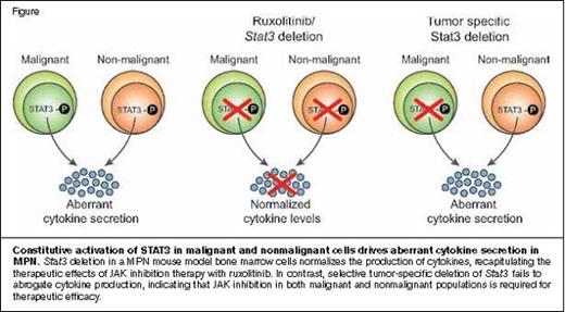 Constitutive Activation of STAT3 in Malignant and Nonmalignant Cells Drives Aberrant Cytokine Secretion in MPN.Stat3 deletion in a MPN mouse model bone marrow cells normalizes the production of cytokines, recapitulating the therapeutic effects of JAK inhibition therapy with ruxolitinib. In contrast, selective tumor-specific deletion of Stat3 fails to abrogate cytokine production, indicating that JAK inhibition in both malignant and nonmalignant populations is required for therapeutic efficacy.Reprinted from Cancer Discovery, 2015, 5/3, 316-331, M. Kleppe et al, JAK-STAT Pathway Activation in Malignant and Nonmalignant Cells Contributes to MPN Pathogenesis and Therapeutic Response, with permission from AACR.