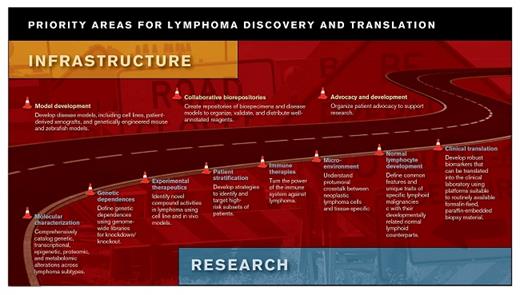 Priority Areas for Lymphoma Discovery and Translation