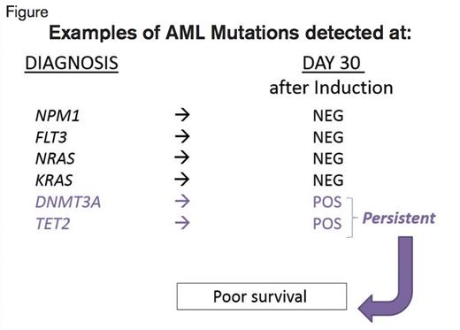Examples of Results of Testing for Mutations at Diagnosis and on the Bone Marrow Obtained About Day 30 After the Start of Induction Chemotherapy. At diagnosis, the listed mutations are examples of those seen in some of the patients. The column “Day 30” illustrates whether those mutations were detected (POS, positive) or not detected (NEG, negative) at the time the bone marrow was obtained, at about day 30. The patients with mutations that were still present at day 30 exhibited worse EFS and OS compared with those that cleared the mutations.
