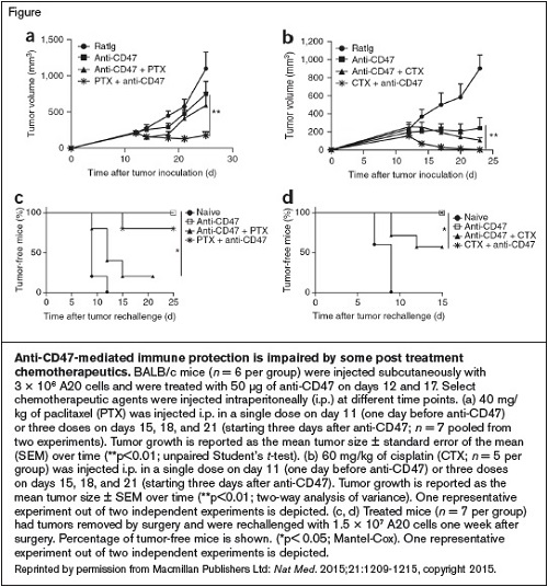 Anti-CD47-Mediated Immune Protection is Impaired by Some Post Treatment Chemotherapeutics. BALB/c mice (n = 6 per group) were injected subcutaneously with 3 × 106 A20 cells and were treated with 50 μg of anti-CD47 on days 12 and 17. Select chemotherapeutic agents were injected intraperitoneally (i.p.) at different time points. (a) 40 mg/ kg of paclitaxel (PTX) was injected i.p. in a single dose on day 11 (one day before anti-CD47) or three doses on days 15, 18, and 21 (starting three days after anti-CD47; n = 7 pooled from two experiments). Tumor growth is reported as the mean tumor size ± standard error of the mean (SEM) over time (**p<0.01; unpaired Student’s t-test). (b) 60 mg/kg of cisplatin (CTX; n = 5 per group) was injected i.p. in a single dose on day 11 (one day before anti-CD47) or three doses on days 15, 18, and 21 (starting three days after anti-CD47). Tumor growth is reported as the mean tumor size ± SEM over time (**p<0.01; two-way analysis of variance). One representative experiment out of two independent experiments is depicted. (c, d) Treated mice (n = 7 per group) had tumors removed by surgery and were rechallenged with 1.5 × 107 A20 cells one week after surgery. Percentage of tumor-free mice is shown. (*p< 0.05; Mantel-Cox). One representative experiment out of two independent experiments is depicted.Reprinted by permission from Macmillan Publishers Ltd: Nat Med. 2015;21:1209-1215, copyright 2015.