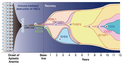 Progression of Disease, Patient NIH075. Chronologic history of clonal evolution from the onset of disease to the last follow-up in Patient NIH075. Each mutated gene is depicted in the representative cells. The vertical axis indicates the absolute volume of the clones. Representative mutations in each clone are also shown. From Yoshizato T, Dumitriu B, Hosokawa K, et al. Somatic mutations and clonal hematopoiesis in aplastic anemia.N Engl J Med. 2015;373:35-47.