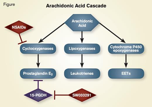 "Arachidonic Acid Cascade. Shown is a simplified version of the arachidonic acid cascade. After arachidonic acid is released by phospholipase A2, it can then be converted