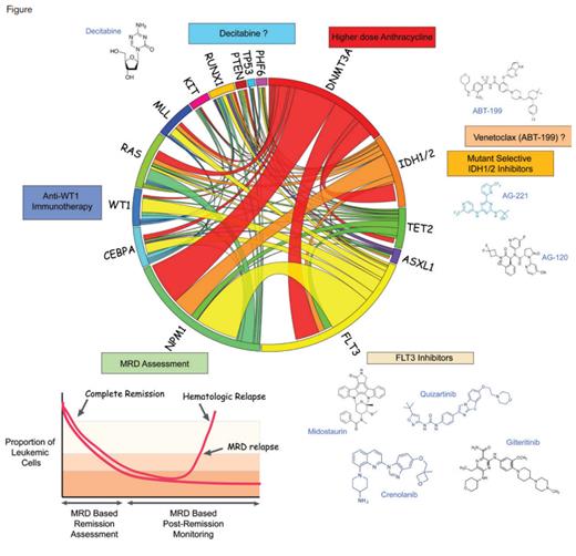 Therapeutic and Diagnostic Interventions Based on Molecular Alterations in Acute Myeloid Leukemia (AML). Circos plot illustrating common molecular alterations in de novo AML in adults between the ages of 16-60 years of age (center). Molecularly targeted therapies based on the presence of certain mutations are shown around the Circos plot and include mutant-selective IDH1/2 inhibitors and FLT3 inhibitors and potentially the use of venetoclax and decitabine for IDH1/2 mutant and TP53-mutant AML, respectively. In addition to the use of mutations as therapeutic targets, certain mutations (such as mutant NPM1) may also be followed for minimal residual disease (MRD) assesment in AML. Not shown here are splicing factor mutations, which are more frequent in secondary AML and older patients and are being tested for selective sensitivity to spliceosome targeting agents.