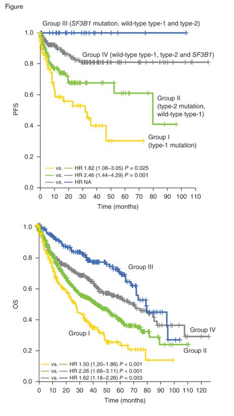 Progression-free and Overall Survival Curves. Kaplan-Meier curves for progression free survival (n = 429) A) and overall survival (n = 1,347) B) of patients with type 1 mutations (group I), with type 2 but not type 1 mutations (group II), with SF3B1 but no type 1 or type 2 mutations (group III), and other patients with no type 1, type 2 or SF3B1 mutations (group IV). Reprinted by permission from Macmillan Publishers Ltd: Nature Genetics doi:10.1038/ng.3742, copyright 2016.