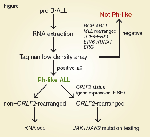Flow Chart for the Identification of Kinase Alterations in Philadelphia Chromosome-like (Ph-like) Acute Lymphocytic Leukemia (ALL). Abbreviations: B-ALL, B-cell ALL; FISH, fluorescence in situ hybridization.