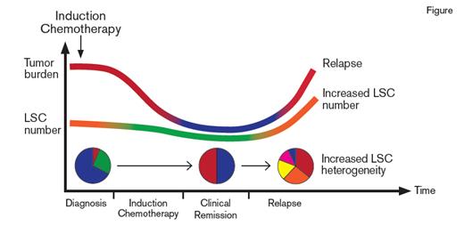 Graph of the Impact of Induction Chemotherapy on Acute Myeloid Leukemia (AML) that Ultimately Relapses. With treatment, there can be an initial decrease in the quantity and diversity of leukemia stem cells (LSCs), but at the time of relapse, the quantity and diversity of LSCs is greater than at the time of initial diagnosis, supporting the hypothesis that induction chemotherapy results in teh iatrogenic worsening of AML. (Figure adapted with persmission, courtesy of Shanshan Pei, PhD.)