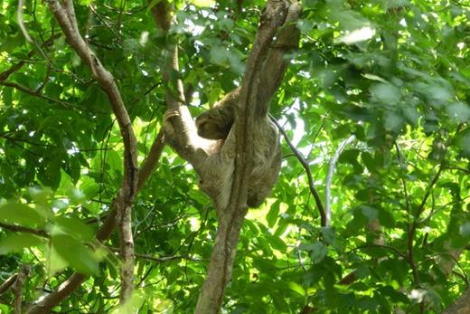 Gotlib 5/1/17 Photo 4. / Gotlib 5/1/17 Photo 4