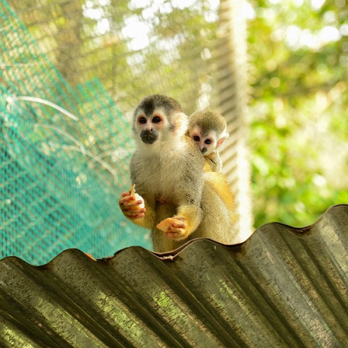 Gotlib 5/1/17 Photo 2. / Gotlib 5/1/17 Photo 2