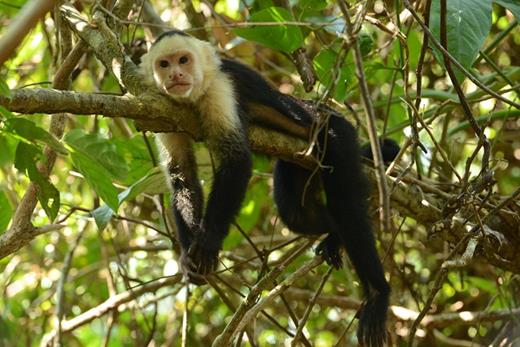 Gotlib 5/1/17 Photo 3. / Gotlib 5/1/17 Photo 3