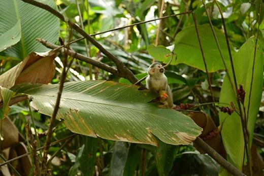 Gotlib 5/1/17 Photo 1. / Gotlib 5/1/17 Photo 1