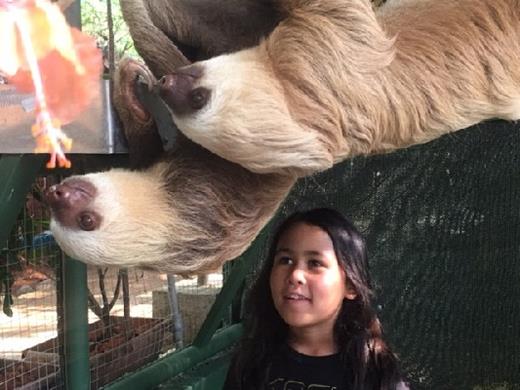 Gotlib 5/1/17 Photo B. / Gotlib 5/1/17 Photo B