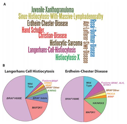 Toward a Molecular Genetic Understanding of Histiocytic Neoplasms A) Word cloud of the various names and eponyms for systemic histiocytic neoplasms that have been used since the initial descriptions of the diseases 150 years ago. B) Pie charts of somatic mutations affecting MAP kinase signaling that are now known to occur in Langherans cell histiocytosis and Erdheim-Chester disease. The majority of recurrent mutations that have been identified are mutually exclusive activating mutations affecting MAP kinase signaling, with the most common being the BRAF V600E mutation. Reprinted with permission from the American Association for Cancer Research.