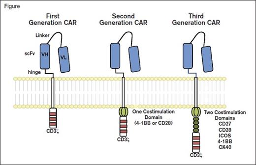 Chimeric Antigen Receptors. Chimeric antigen receptor (CAR) molecules link an extracellular single-chain variable fragment (scFv) to the CD3? intracellular domain of the T cell receptor. First-generation constructs were followed by combination with one (second generation) or two (third generation) additional costimulatory domains. From Maus MV, et al. Blood 2014; 123:2625-2635.