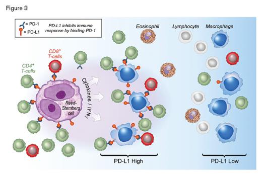 From Carey CD, et al. Blood. 2017;130:2420-2430. IFNγ, interferon γ.