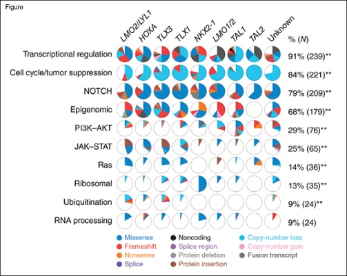 Ten recurrently mutated pathways and the proportion of cases in each T-ALL subgroup shown as pie diagrams. The majority of pathways showed significant associations between prevalence of alteration and T-ALL subgroup; ** p<0.01. Reprinted by permission from Springer Nature: Nature Genetics, The genomic landscape of pediatric and young adult T-lineage acute lymphoblastic leukemia, Liu Yu et al, 2017.