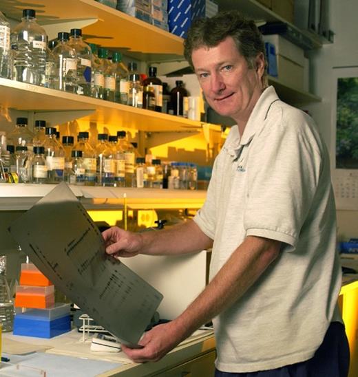 Photo of Dr. David M. Bodine in the lab. / David M. Bodine, PhD.