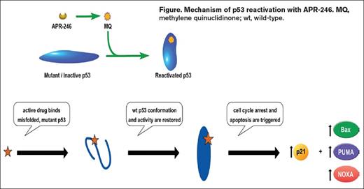 MQ, methylene quinuclidinone; wt, wild-type.