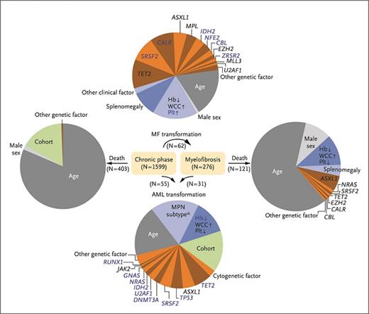 Relative contributions of parameters that contribute to progression to myelofibrosis (MF), acute myeloid leukemia (AML), and death. (Reprinted from Grinfeld J, Nangalia J, Baxter EJ, et al. Classification and Personalized Prognosis in Myeloproliferative Neoplasms. N Engl J Med. 2018;379:1416-1430.)