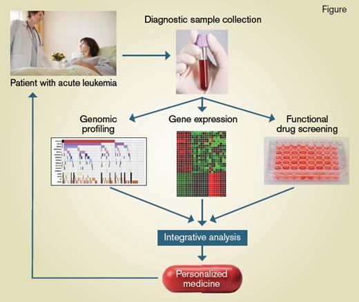 Schematic showing the process from disease sample collection to personalized medicine for treating AML patients. / Process from sample collection to personalized medicine for AML patients.
