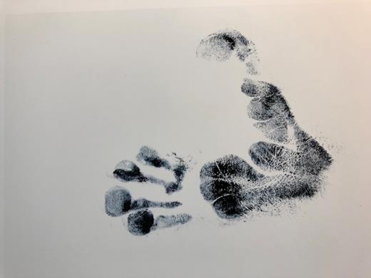 A photo of Charlie the lemur's footprint. / Charlie the lemur's footprint.