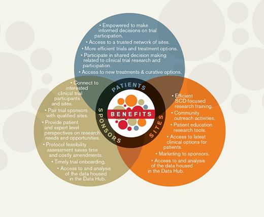Diagram detailing the structure and components of the ASH Research Collaborative Sickle Cell Disease Clinical Trials Network. / ASH Research Collaborative Sickle Cell Disease Clinical Trials Network Diagram.