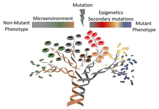 Combined single-cell genotyping and transcriptional analysis using TARGET-seq enables researchers to discriminate wild-type and heterogeneous mutated cells within individual patients with MPN. This allowed characterization of mutation-specific and nonmutant transcriptional phenotypes, and points toward mediators of clinical manifestations and progression. Illustration by Jasmin Straube, PhD, QIMR Berghofer, Herston, Australia.