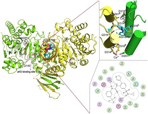Structure of an IDH2 inhibitor (AGI-6780, structurally related to enasidenib and ivosidenib) allosterically bound at the homodimerization interface with detailed interaction diagrams to the right. Note the location of the Ile 319 and Gln 316 in the bottom right with critical hydrogen bonds to Gln 316. (Reprinted with permission from Chen J, Yang J, Sun X, et al. Allosteric inhibitor remotely modulates the conformation of the orthestric pockets in mutant IDH2/R140Q. Sci Rep. 2017 Nov 28;7:16458. http://creativecommons.org/licenses/by/4.0/)