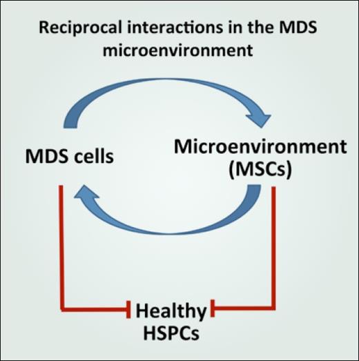 Reciprocal interactions in the MDS microenvironment.
