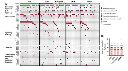 (A) Mosaic plot exhibiting recurrent mutations categorized by clinicopathologic diagnosis and pathway (adapted with permission from Zhang H et al. Blood. 2019;134:867-879). (B) Average number of mutations per patient (reproduced with permission from Zhang H et al).