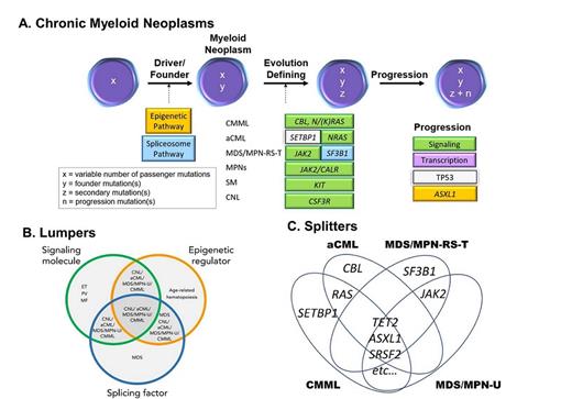 (A) Schematic of common changes acquired in the differentiation and progression of chronic myeloid neoplasms (adapted from McClure RF et al. J Mol Diagn. 2018;20:717-737). (B) Lumpers: comparison of the NMNs with myeloproliferative neoplasms (MPNs), myelodysplastic syndromes (MDS), and age-related clonal hematopoiesis (adapted from Zhang H et al. Blood. 2019;134:867-879). (C) Splitters: comparison between the NMNs (diagram derived from Meggendorfer M et al. Haematologica. 2018 May;103:e192-e195). CNL, chronic myeloid neoplasms; aCML, atypical chronic myeloid leukemia; CMML, chronic myelomonocytic leukemia; CNL, chronic neutrophilic leukemia; ET, essential thrombocythemia; MF, myelofibrosis; MPN-RS-T, MPN with ring sideroblasts and thrombocytosis; MPN-U, unclassifiable MPN; PV, polycythemia vera; SM, systemic mastocytosis.